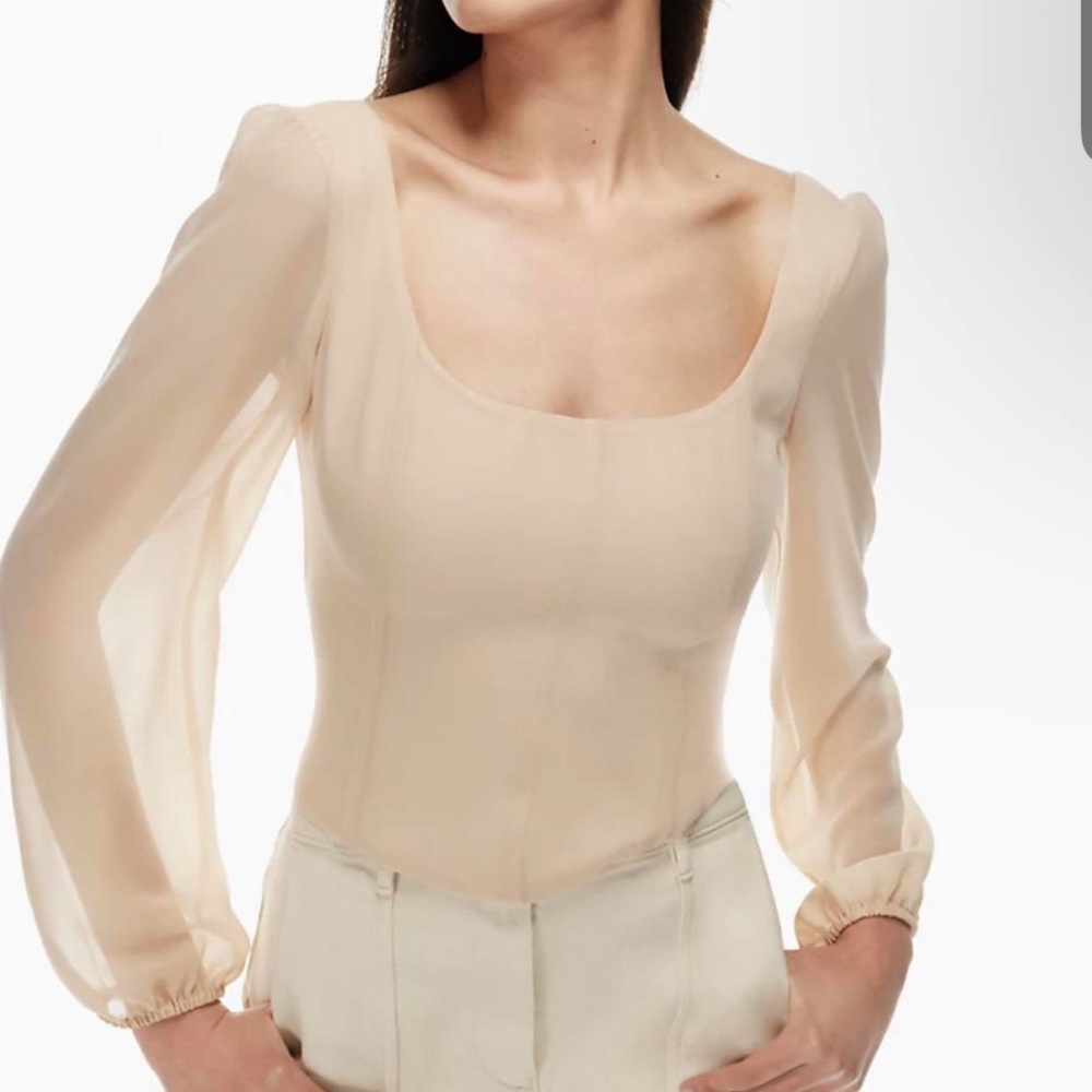 Wilfred Grace Pink Sheer Puff-Sleeve Scoop Neck Blouse